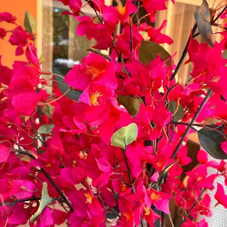 Le Bougainvillier Apartament *