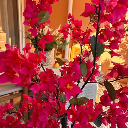 Apartament Le Bougainvillier