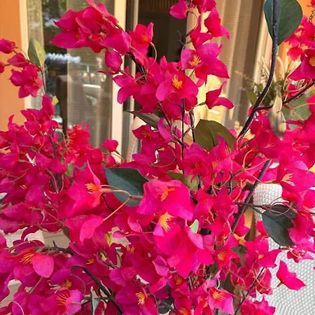 Le Bougainvillier Apartament Cavalaire-sur-Mer